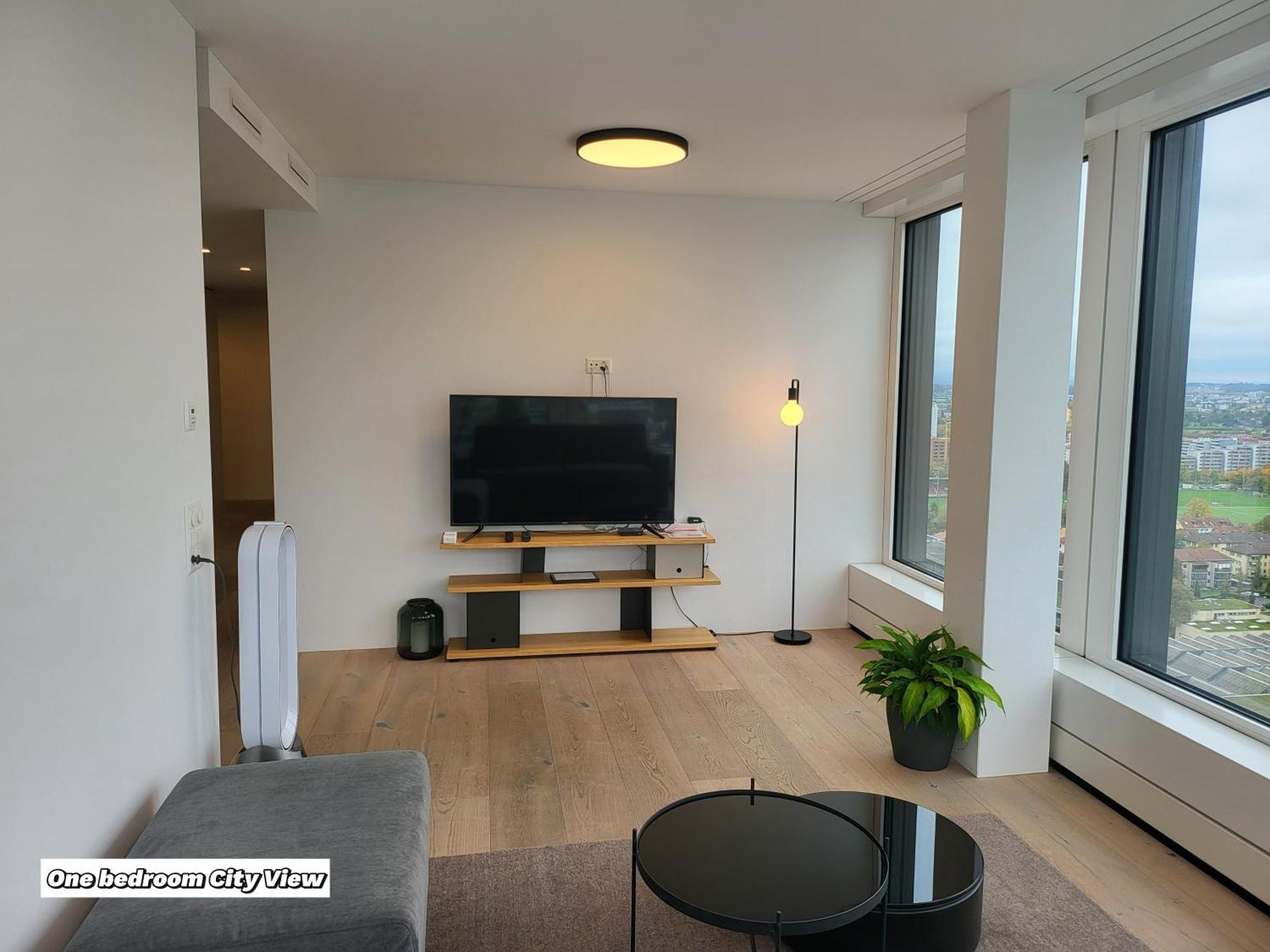 Park Tower City View Apartments ツーク エクステリア 写真